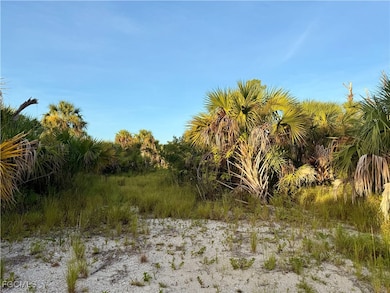 0 Fireglow Cir unit 2025004593, North Port, FL 34288 - photo 7