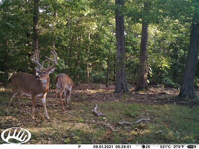 0000 S Hwy 82 A, Oaks, OK 74359 - photo 5