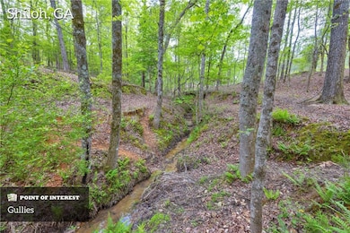 2450 Chestnut Grove Rd, Shiloh, GA 31826 - photo 5