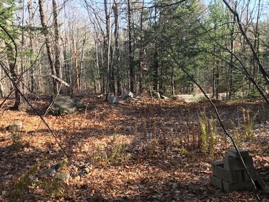 123 Ossipee Mountain Rd unit 9, Ossipee, NH 03814 - photo 2