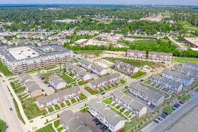 Neighborhood View