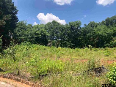 1243 Rainmaker, Tyler, TX 75703 - photo 2