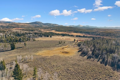 View of mountain background featuring a forest