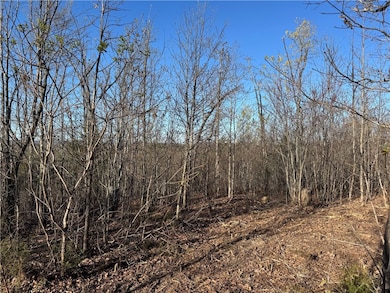 Tract 2 Nc 8374 Rd, Jasper, AR 72641 - photo 7