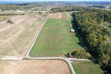 DJI_0387