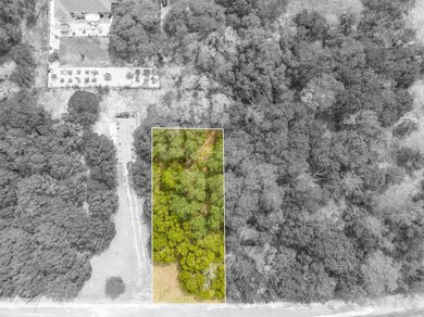 35088 Oak Forest Dr, Whitney, TX 76692 - photo 3