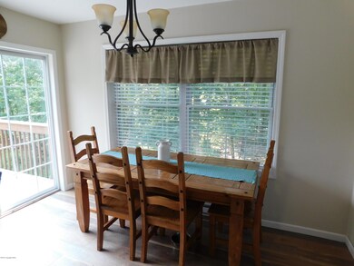 302 Lower Chipmunk Ct, Bushkill, PA 18324 - photo 5