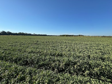 1043 Wacaser Corner Rd, Colquitt, GA 39837 - photo 3