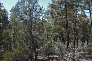 2170 S Pleasantview Dr, Show Low, AZ 85901 - photo 7