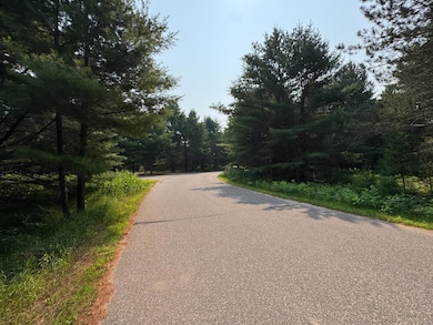 309/310 Deerwood Rd, Minocqua, WI 54548 - photo 6