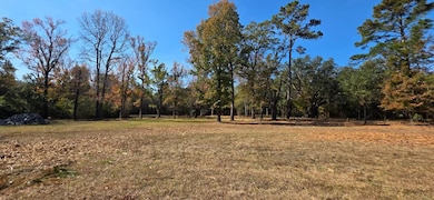 6 Acres N Broad St, Cowarts, AL 36321 - photo 6