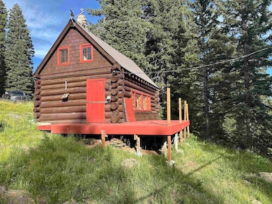 21344 Hilltop Dr, Cedaredge, CO 81413 - photo 3