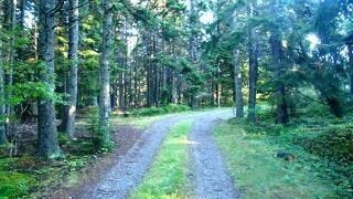 Private Road to Property