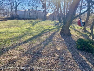 2923 Newark Ave, Lansing, MI 48911 - photo 7