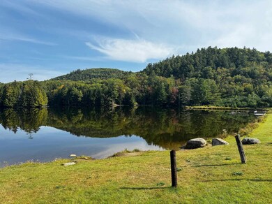 1011 Knapp Pond Rd, Cavendish, VT 05142 - photo 2