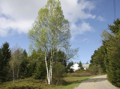 Lower field at 34 Robbin's Hill