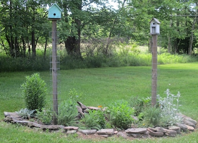 Yard