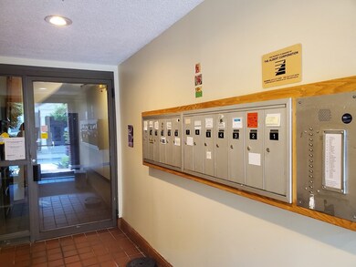 317 Summit Ave unit 6, Brighton, MA 02135 - photo 3