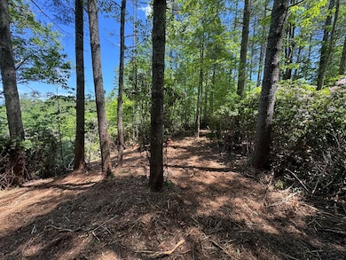 79 Forest Edge Dr, Murphy, NC 28906 - photo 6