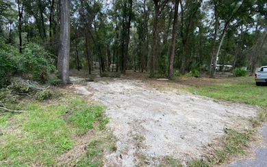 16588 NW 80th Ave, Fanning Springs, FL 32693 - photo 2