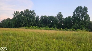 014 Tomahawk Slab Rd, Saint Joe, AR 72675 - photo 6