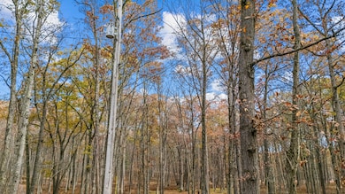 DJI_20251029110709_0114_D