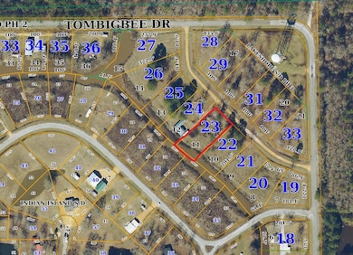 Lot 11