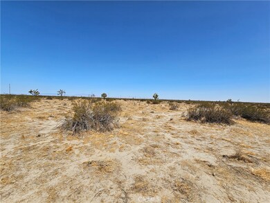 0 90th St E unit TR25134718, Palmdale, CA 93591 - photo 2