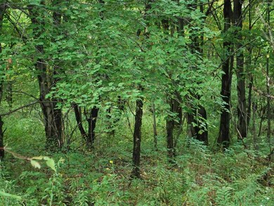 0 Irish Rd unit 28823, Venango Township, PA 16412 - photo 2