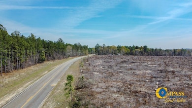 0 Prosser Rd unit 25510401, Deepstep, GA 31082 - photo 2