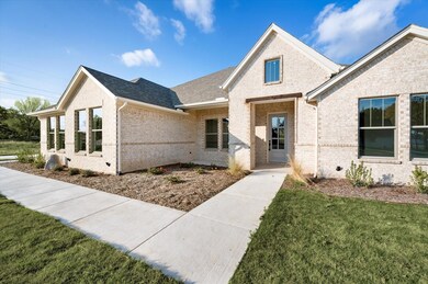 1028 Monaco Ct, Springtown, TX 76082 - photo 4