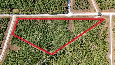 625 Trinity Trail, Lovelady, TX 75851 - photo 4