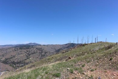 Lot 24 Dickson Creek Rd, Darby, MT 59829 - photo 7