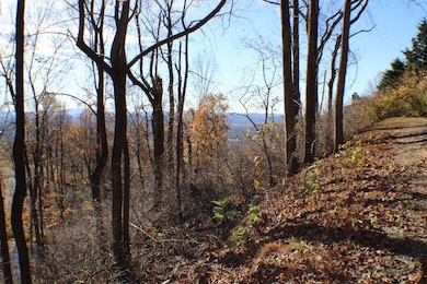 1 Gulch Rd, Meadows of Dan, VA 24120 - photo 3