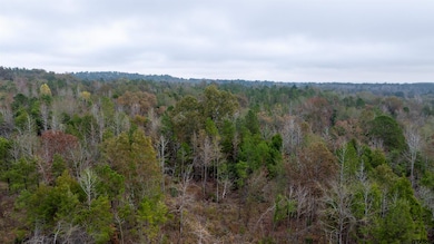 000 County Road 3272, Frankston, TX 75763 - photo 7