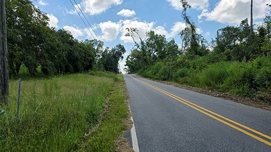 95 E Plum St, Hazlehurst, GA 31539 - photo 2