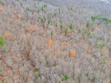 14 College View Rd, Dickinson, NY 13905 - photo 6