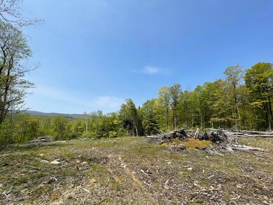 0 White Rd unit 4964384, Readsboro, VT 05350 - photo 7