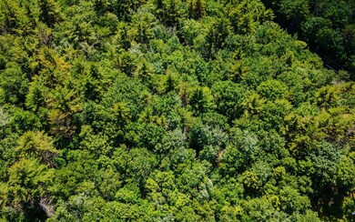 0 Gilsum Mine Rd, Alstead, NH 03602 - photo 5