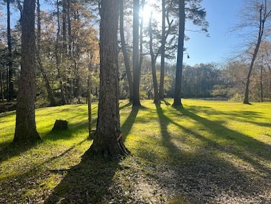 41 Mendel Ct, Round O, SC 29474 - photo 5