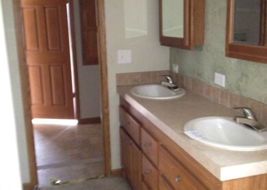 262-168441-masterbathsink