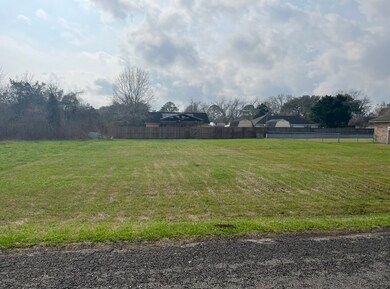 217 Silverleaf Rd, Sweeny, TX 77480 - photo 2