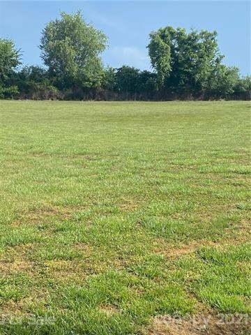 00 Gold Rush Dr, Lincolnton, NC 28092 - photo 2