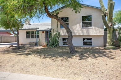 2644 S Gila - Front Yard 2