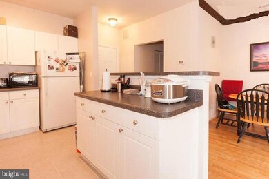 11327 Aristotle Dr unit 5-307, Fairfax, VA 22030 - photo 4