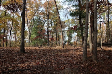 0 Easter Ridge Ln unit LotWP007 23743103, Gainesboro, VA 22603 - photo 3