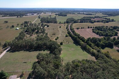 View South-Toward house