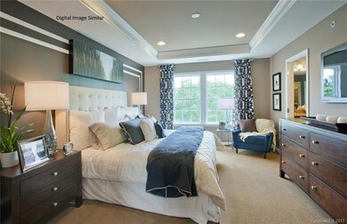 Digital Image Similar - Owners Suite with Tray Cei