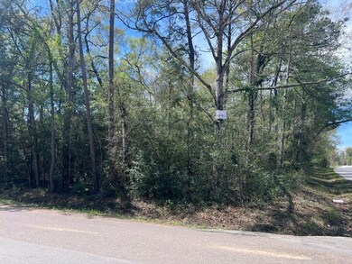 TBD Woodlane A Block 2 Lot 10, Splendora, TX 77372 - photo 6