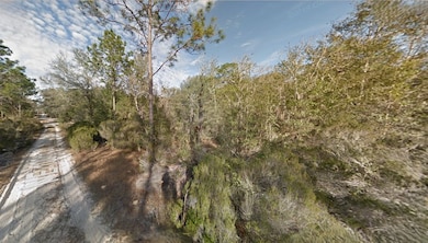 Lot 7 NE 100th Ct, East Bronson, FL 32621 - photo 2